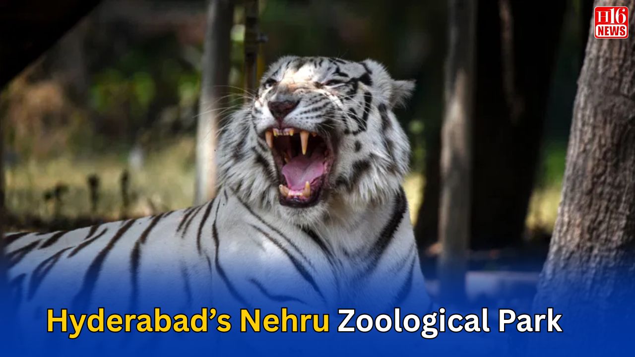 Hyderabad’s Nehru Zoological Park